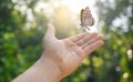 The girl frees the butterfly from moment Concept of freedom