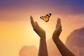 The girl frees the butterfly from moment Concept of freedom