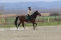 The girl gallop on the horse in the riding school