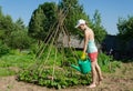 Girl garden watering can stick tower beans
