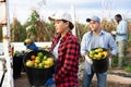 Girl gardener loading tomatoes on truck