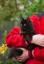 Girl gardener with phone and her cat. Young beautiful woman plays with a kitten in the garden Royalty Free Stock Photo