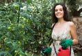 Girl gardener spraying tomato plant Royalty Free Stock Photo