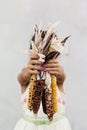 A Girl Gathering Indian Corn, Autumn Holiday Concept Royalty Free Stock Photo