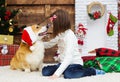 Girl gently hugs a dog