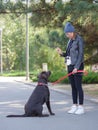 The girl gives commands to the dog, the dog is trained
