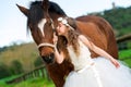 Girl giving horse a kiss Royalty Free Stock Photo