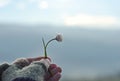 Girl with glove hand holding a beautiful white Daisy on the horizont. Beautiful tranquil nature represent peaceful moment Royalty Free Stock Photo