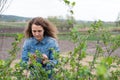 Girl at gloves cleaning ficus plant