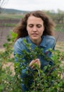 Girl at gloves cleaning ficus plant Royalty Free Stock Photo