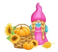 Girl Gnome with pumpkin and sunflowers in basket. Thanksgiving or Harvest Day card design. Watercolor drawing