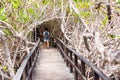 Girl goes on a wooden bridge, Galapagos Island, Isla Isabela. Back view