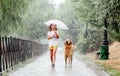 Girl with golden retriever dog in rainy day Royalty Free Stock Photo