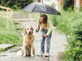 Girl with golden retriever dog in rainy day Royalty Free Stock Photo