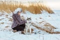 The girl in the gray coat next to a grey husky dog in winter background yellow reeds