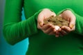 Girl in green turtleneck holding gold coins in hands Royalty Free Stock Photo