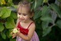 A girl with a green unripe apple in her hands smiles sweetly in the garden under an apple tree. Royalty Free Stock Photo