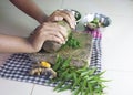 Grinding neem leaves and turmeric grander Royalty Free Stock Photo