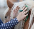 Girl grooming horse Royalty Free Stock Photo