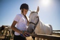 Girl grooming the horse in the ranch Royalty Free Stock Photo