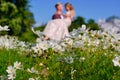 The girl and the guy are a couple, unrecognizable in a blur in the field of cosmos, bright green tones. Bright sunny day