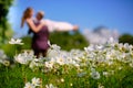 The girl and the guy are a couple, unrecognizable in a blur in the field of cosmos, bright green tones. Bright sunny day