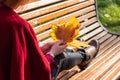 A girl half-turned sits on a park bench on a sunny autumn day and holds a bouquet of yellow maple leaves in her hands Royalty Free Stock Photo