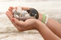 Girl hand with bracelet holding number of sea shells Royalty Free Stock Photo