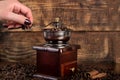 Girl hand grinding in old mill roasted coffee beans on wooden background Royalty Free Stock Photo