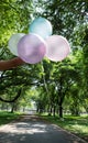 Girl hand holding multicolored balloons done with a retro vintage concept of happy birthday in summer and wedding honeymoon Royalty Free Stock Photo