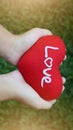 Girl hand holding red heart write love wording on green grass an