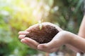 Girl hand holding tree for prepare plant on ground, save world concept Royalty Free Stock Photo