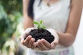 Girl hand holding tree for prepare plant on ground, save world concept Royalty Free Stock Photo