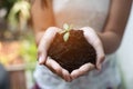 Girl hand holding young tree for prepare plant on ground, save world concept Royalty Free Stock Photo