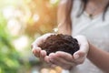 Girl hand holding tree for prepare plant on ground, save world concept Royalty Free Stock Photo