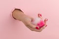 Girl hand holds a beauty blender for makeup from a hole in a pink background, copy space. Sponge in soapy foam, how to clean Royalty Free Stock Photo