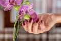 Girl hand with wine color nails polish and purple orchid flower Royalty Free Stock Photo