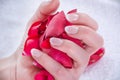 Girl hands with french nails polish style holding red rose petals in studio