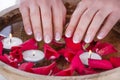 Girl hands with french nails polish style and wooden bowl with water and floating candles and red rose petals Royalty Free Stock Photo