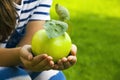 Girl hands apple tree garden Royalty Free Stock Photo