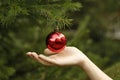 Girl hanging decorative toy ball on Christmas tree branch.