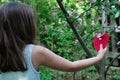 Girl Hanging Heart in Blooming Tree