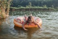 Girl has fun on big donut inflatable ring on lake on hot summer day, happy summertime, countryside Royalty Free Stock Photo