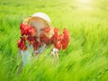 The girl in the hat is covering her face with a bouquet of poppies in a field of green rye. Royalty Free Stock Photo