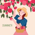 Girl in the hat pick peach. Summer Greeting card. Woman harvest fruits in farm garden. Organic food from local farm.