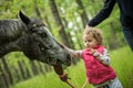 Girl having fun with mother and horse in the woods, young pretty girl with blond curly hair, freedom, joy, movement, outdoor, Royalty Free Stock Photo