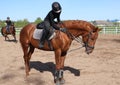Girl in helmet and uniform riding horse at training session outside in open arena. Sport and horseback riding. Royalty Free Stock Photo