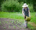 Girl helps pours garden Royalty Free Stock Photo