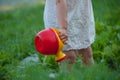 The girl helps to water the beds from a toy watering can. Gardening. Garden. Medical Tape