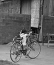 Girl and her bike Royalty Free Stock Photo